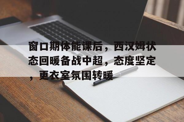 爱游戏官网- 埃弗顿vs西汉姆联回放 